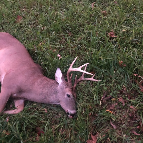 Meet your Posher, Ben - Picture 11 of 13